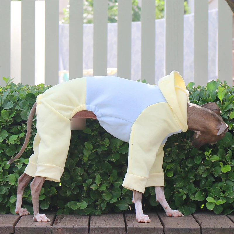 Suéter de Lã para Cães Galgo e Whippet com Capuz e Quatro Patas - Imagem 4
