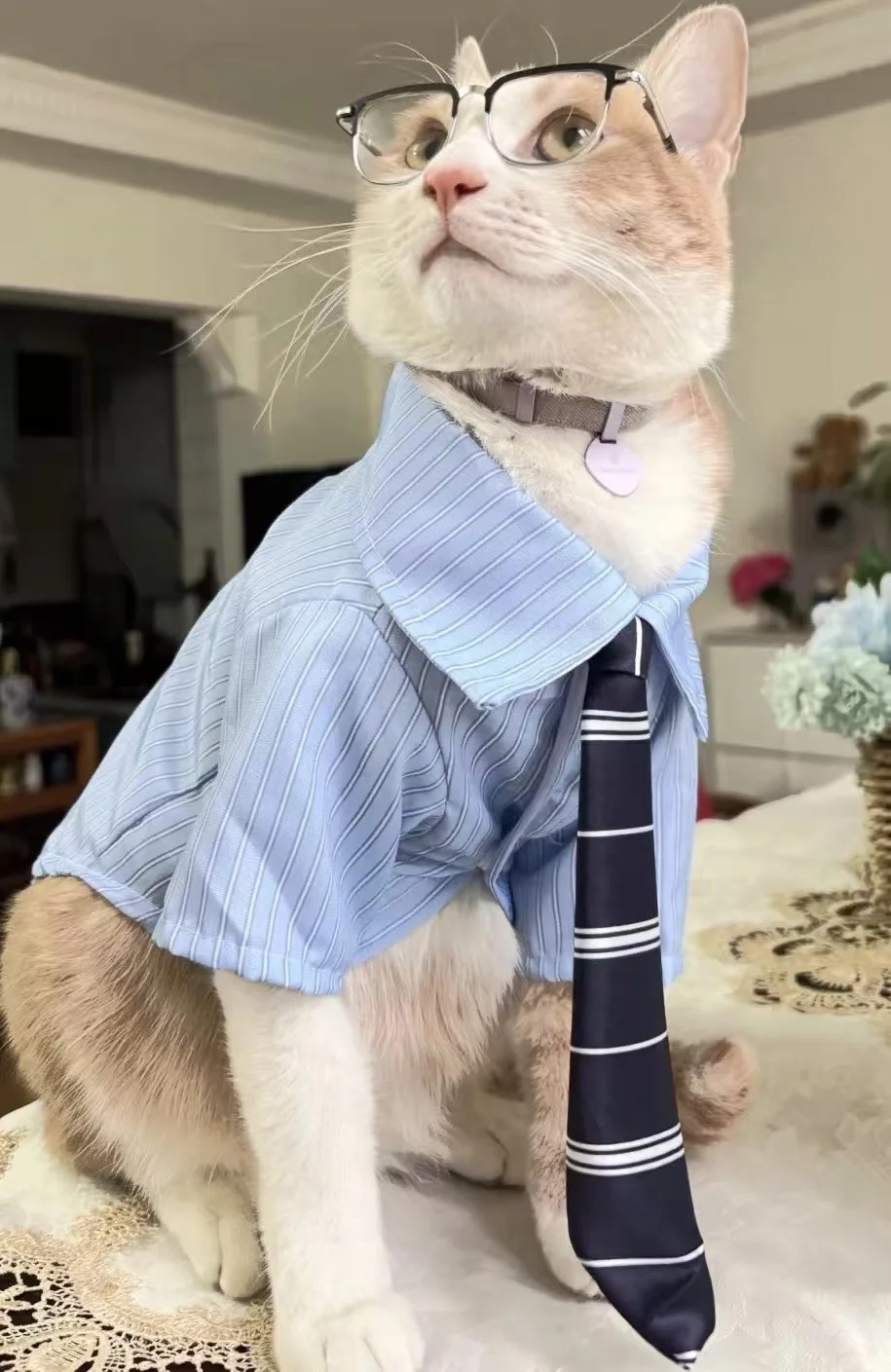 Camisa para Cães e Gatos Pequenos de Algodão, Estilo Casual Xadrez - Image 3