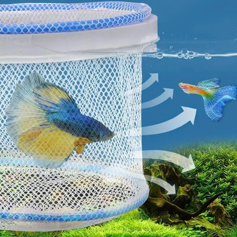 Rede de Incubação para Aquário com Malha Fina Transparente - Imagem 6