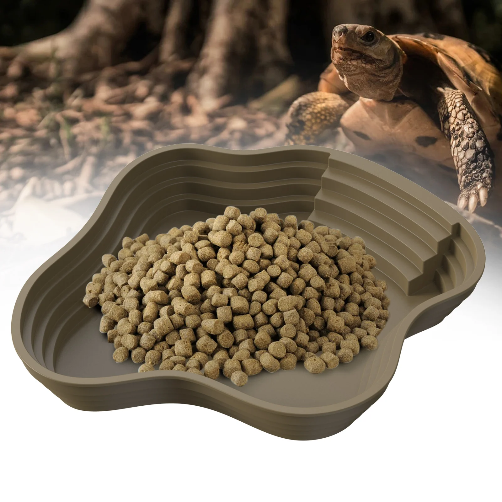 Bacia de Banho para Tartarugas e Sapos com Múltipla Usos - Imagem 6