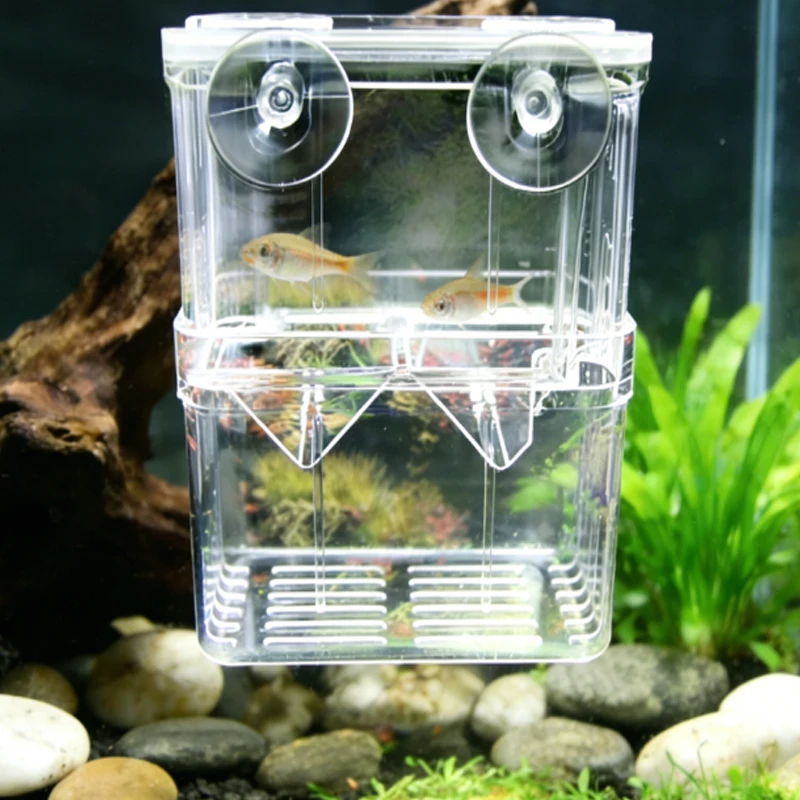 Caixa de Criação para Peixes em Acrílico Transparente com Ventosas - Image 6