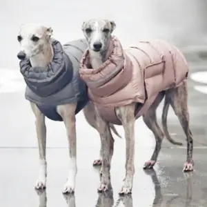 casaco de inverno para cães e gatos