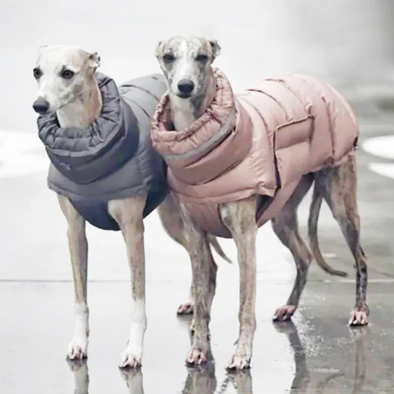 casaco de inverno para cães e gatos