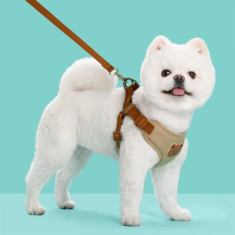 Conjunto Peitoral e Guia para Cães e Gatos Ajustável e Respirável - Imagem 6