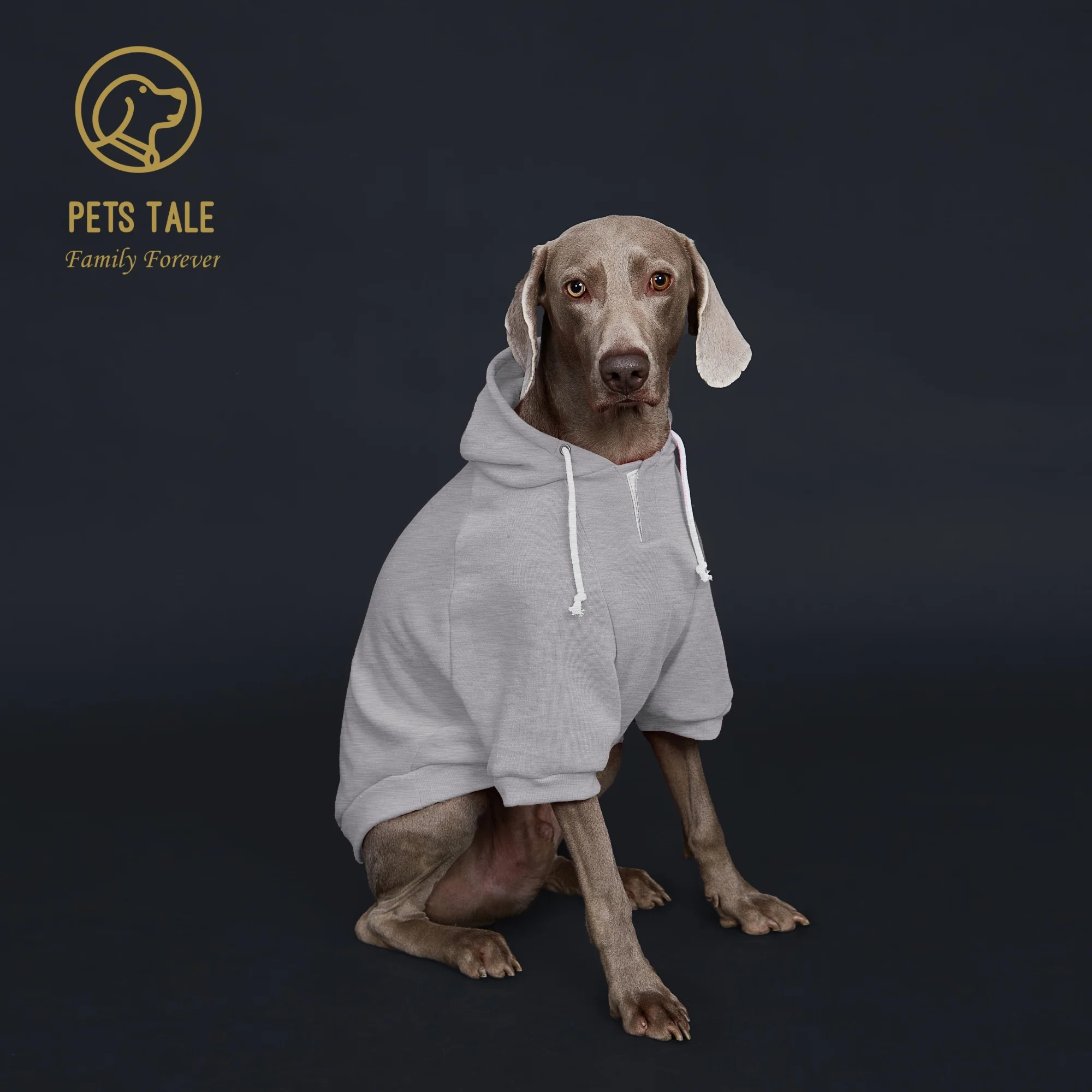 Moletom para Cães com Capuz Bolso e Fecho de Gancho - Imagem 5
