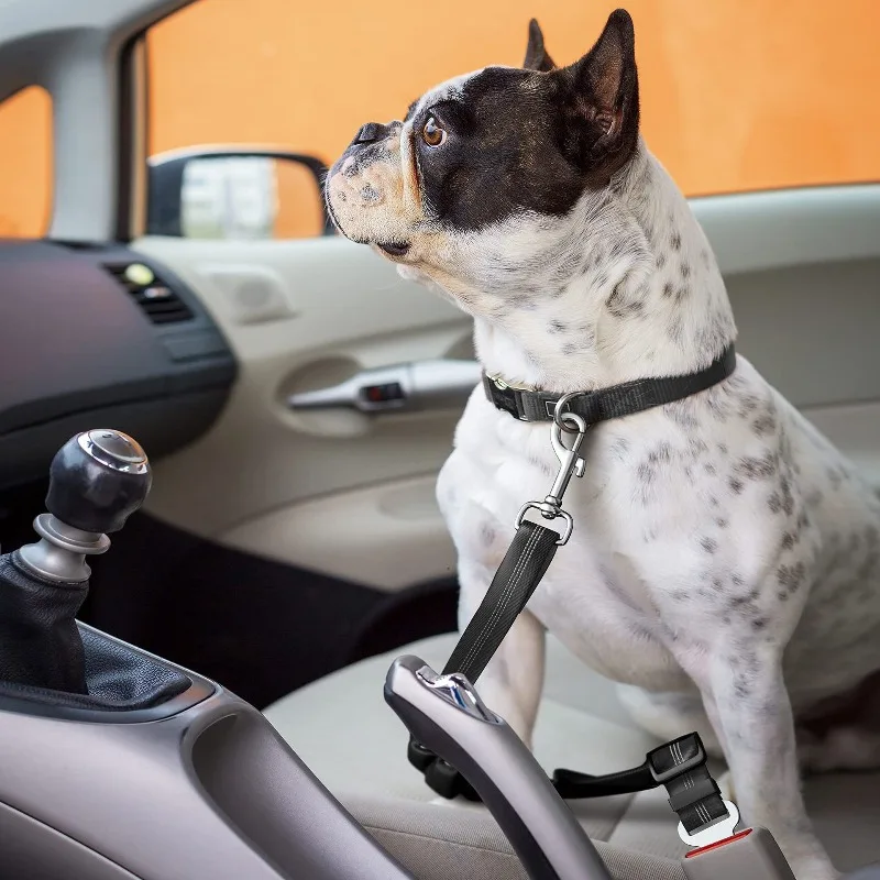 Cinto de Segurança para Cães Retrátil com Ajuste e Tigela Dobrável - Imagem 4