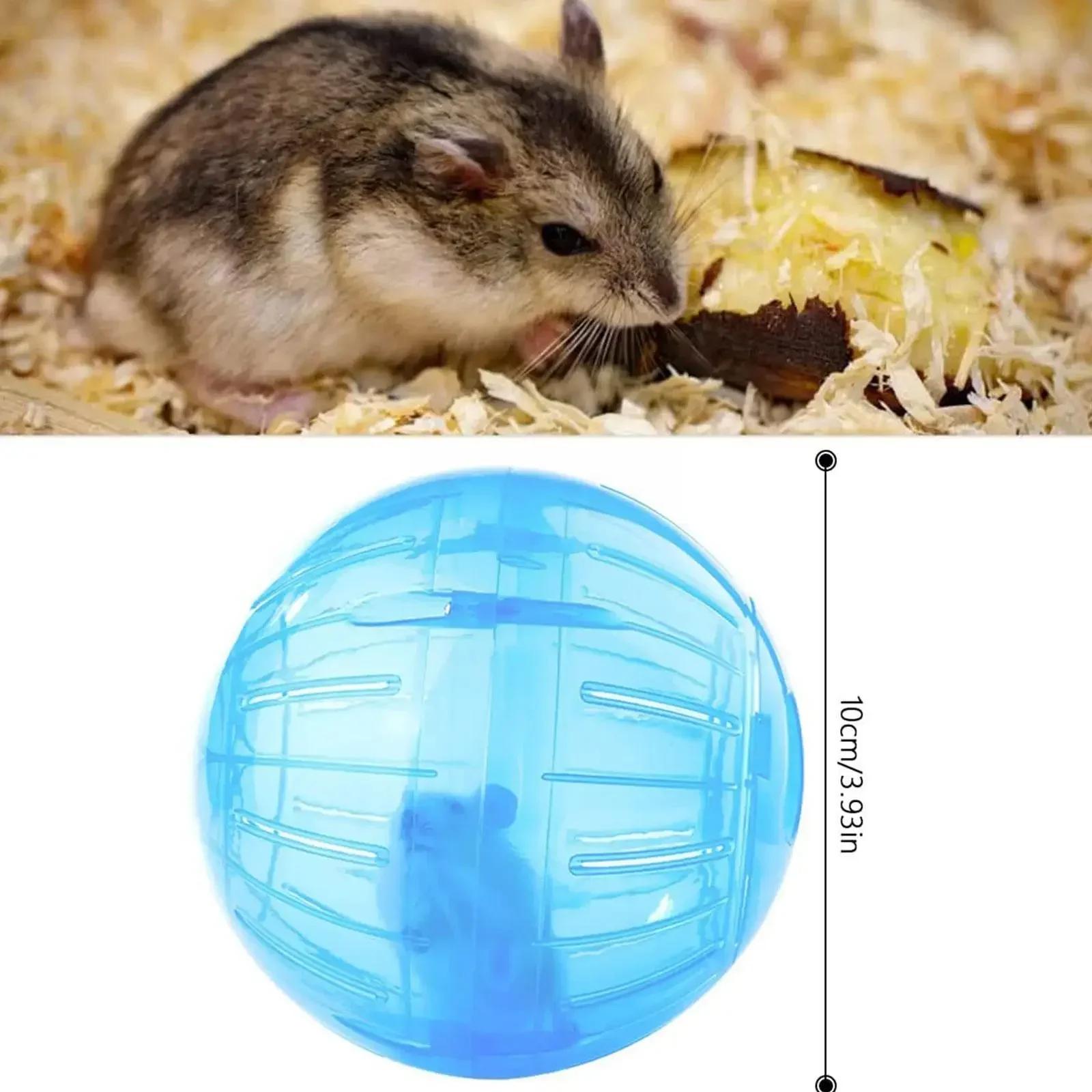 Bola de Exercício para Hamster e Roedores 10cm Transparente - Imagem 4