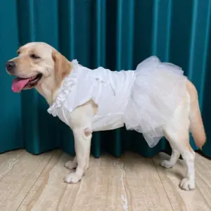 vestido de verão para cães grandes branco
