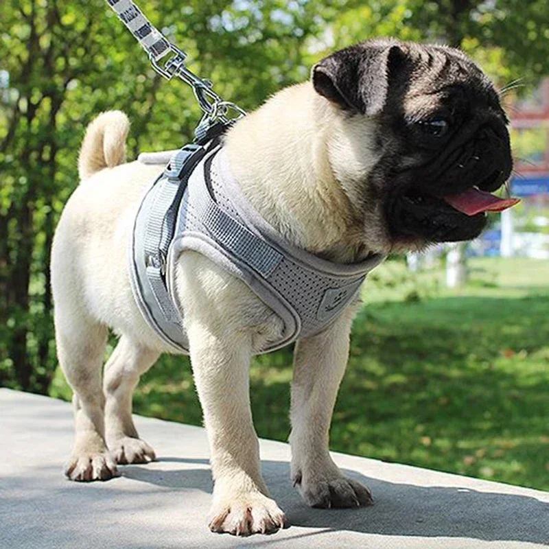 Colete Peitoral para Cães de Malha Ajustável Leve para Passeio - Imagem 3