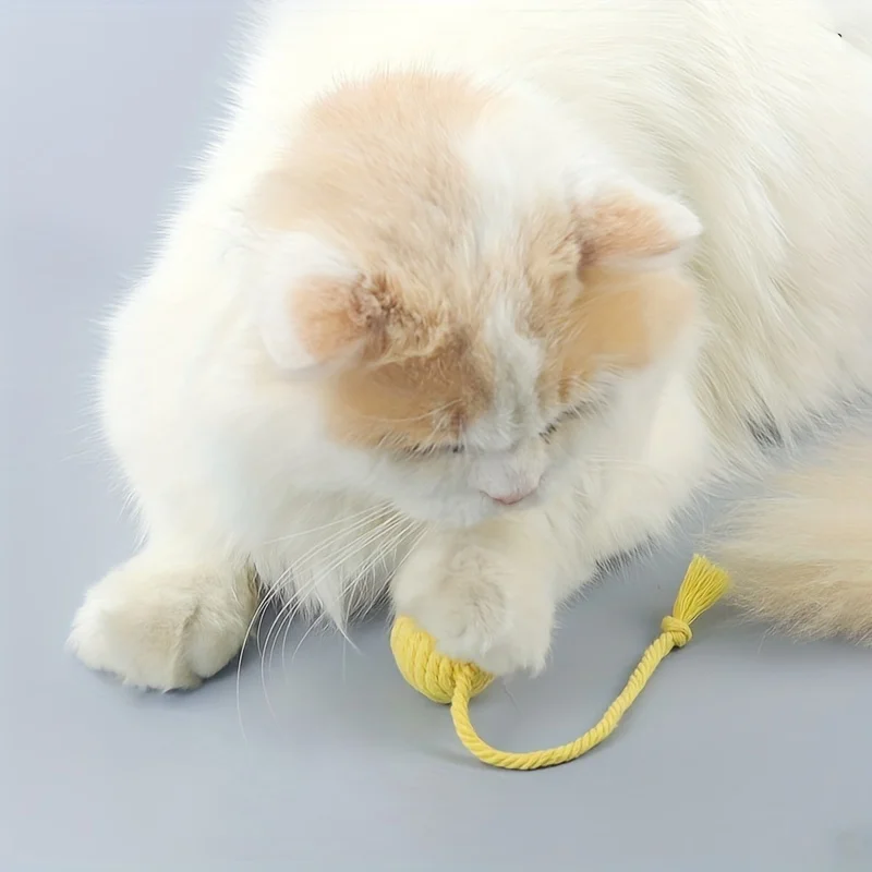 Kit Bola de Corda para Gatos 3cm com Chocalho Interno 4 Unidades - Image 3