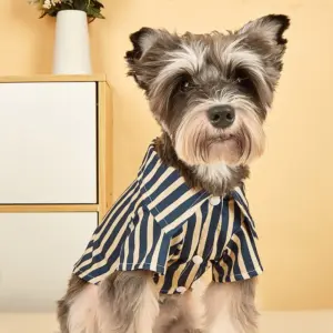 roupa de verão para cães pequenos e gatos
