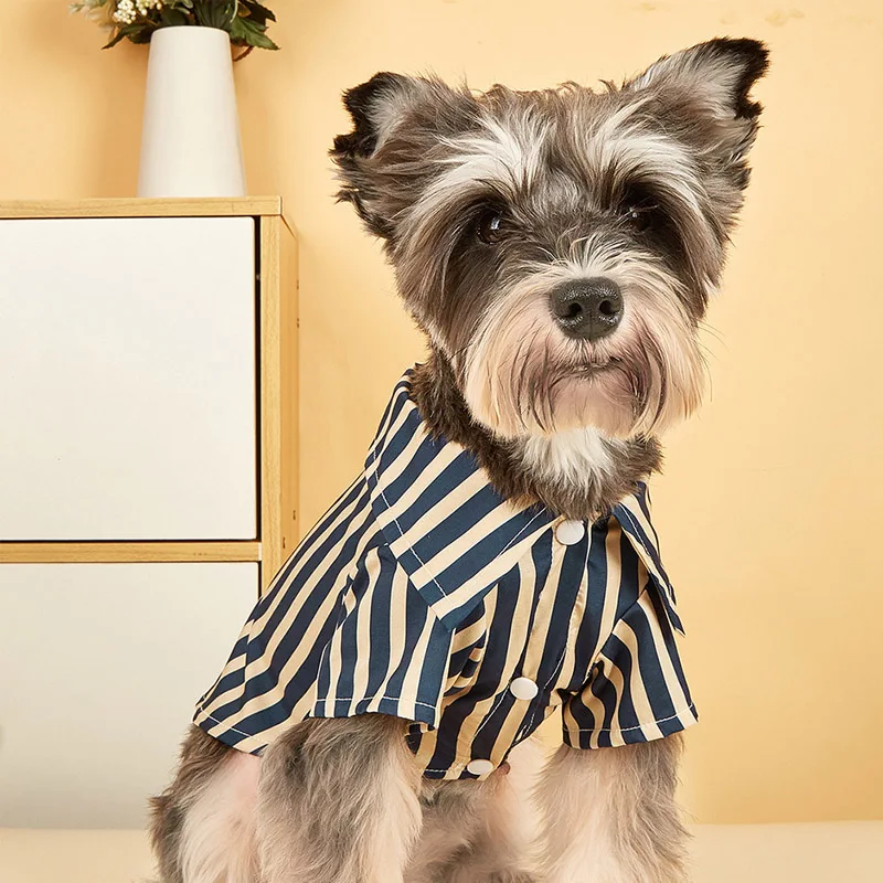 roupa de verão para cães pequenos e gatos