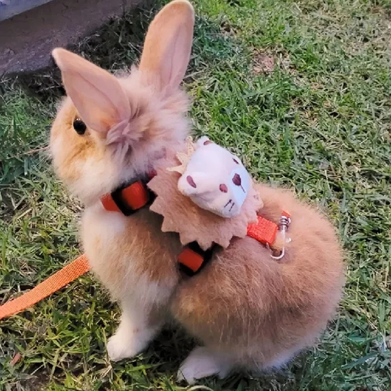 Coleira e Guia para Coelhos e Porquinhos-da-Índia Ajustável para Passeio - Imagem 3
