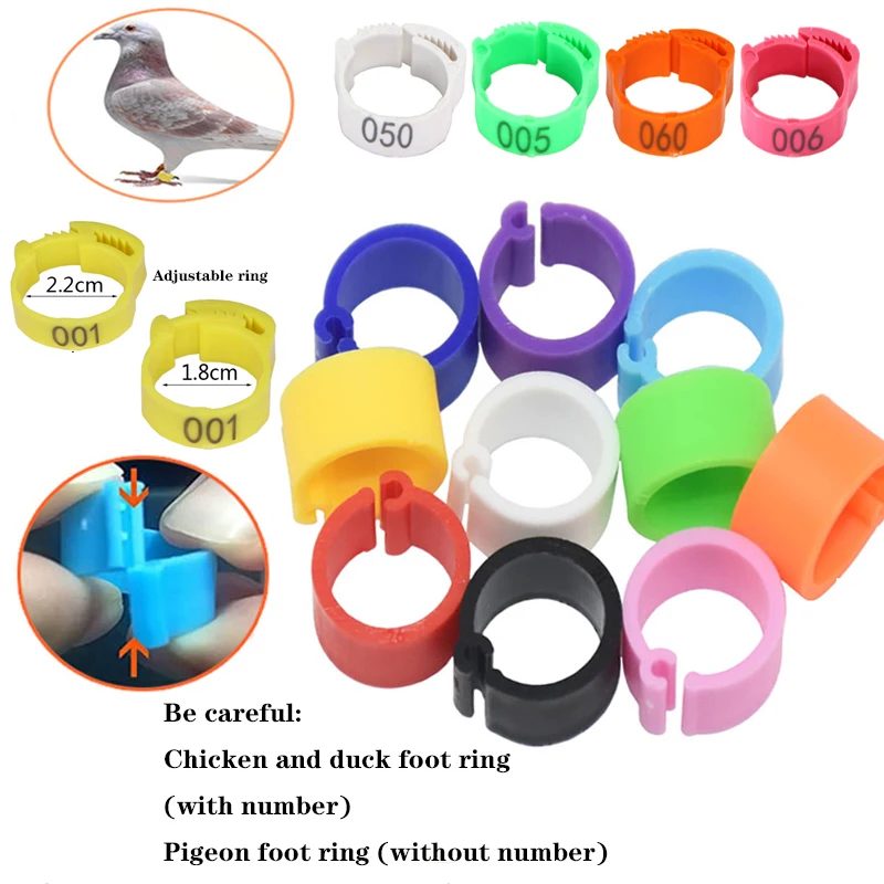 Anéis de Identificação para Aves Ajustáveis com Numeração - Imagem 4