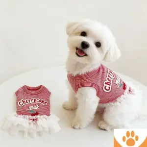 roupa para cães e gatos colete