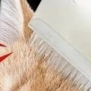 escova de massagem para cães e gatos