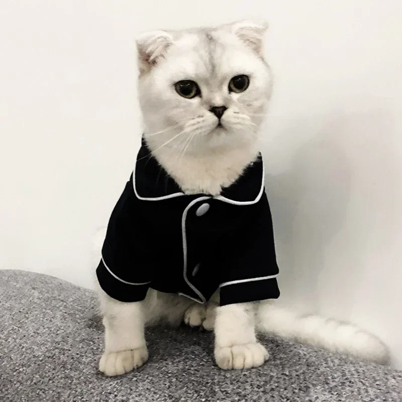 fantasia de natal para gatos com capuz
