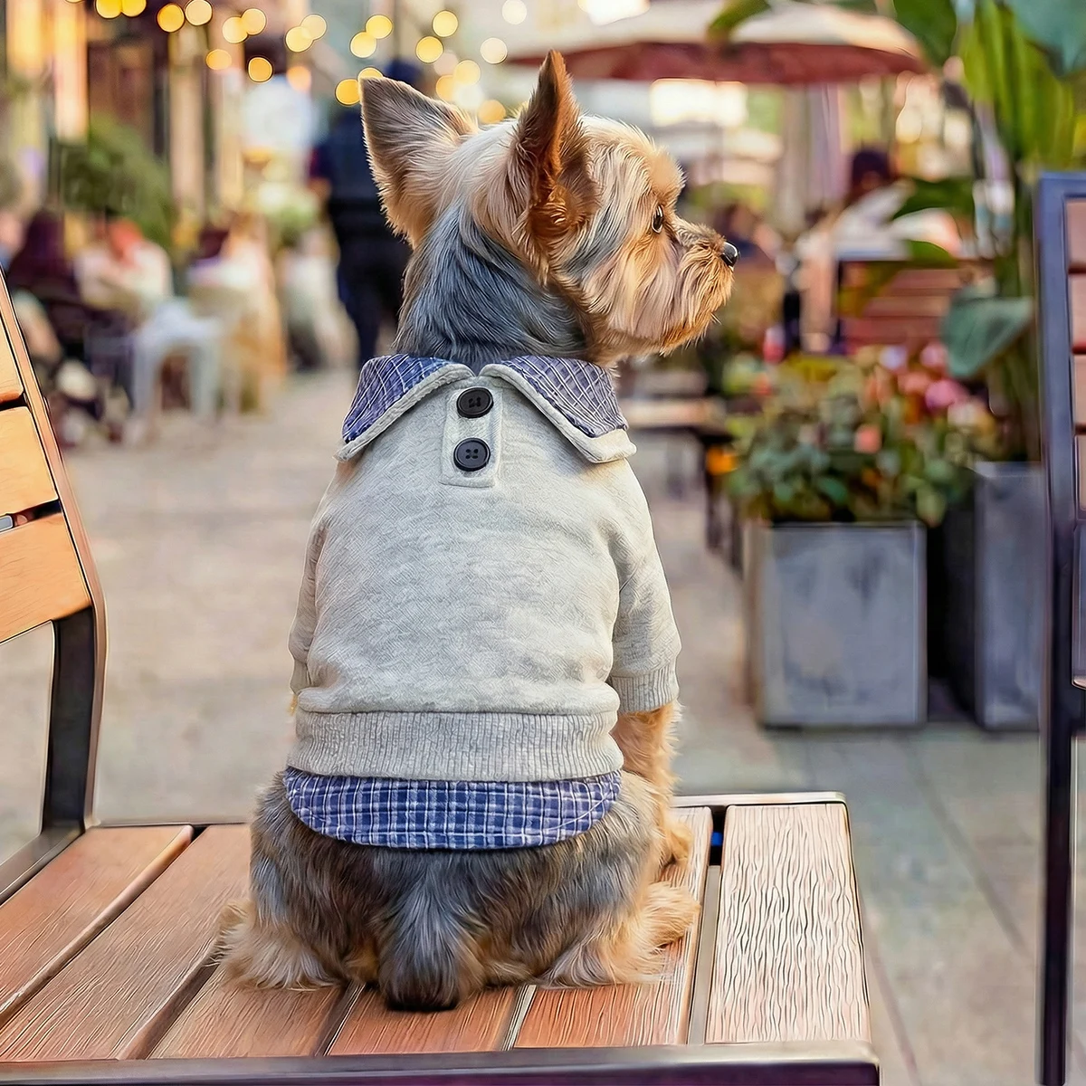 Moletom Pulôver para Cães e Gatos Pequenos Estilo Xadrez Azul - Imagem 4