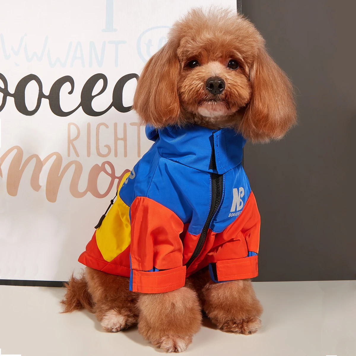 jaqueta para cães com forro de fleece