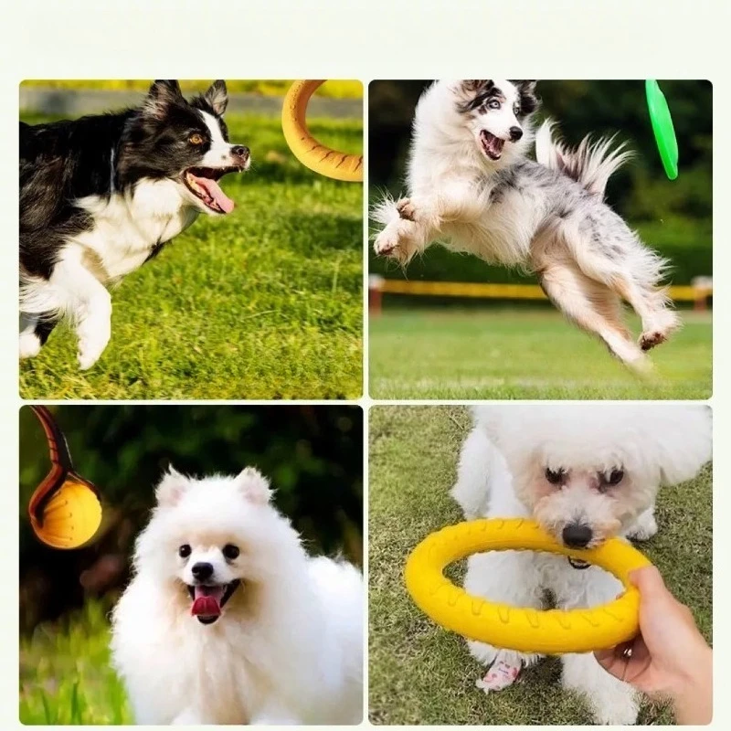 Brinquedo de Argola para Cães para Lançar e Capturar - Imagem 3