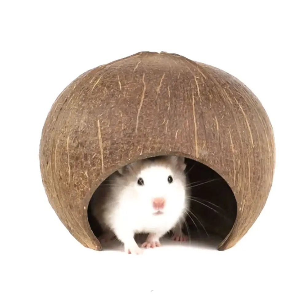 Ninho de Coco Natural para Hamster e Répteis S 6x10,5 cm - Imagem 5