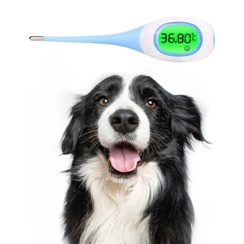 Termômetro LED para Cães e Gatos Veterinário - Imagem 2