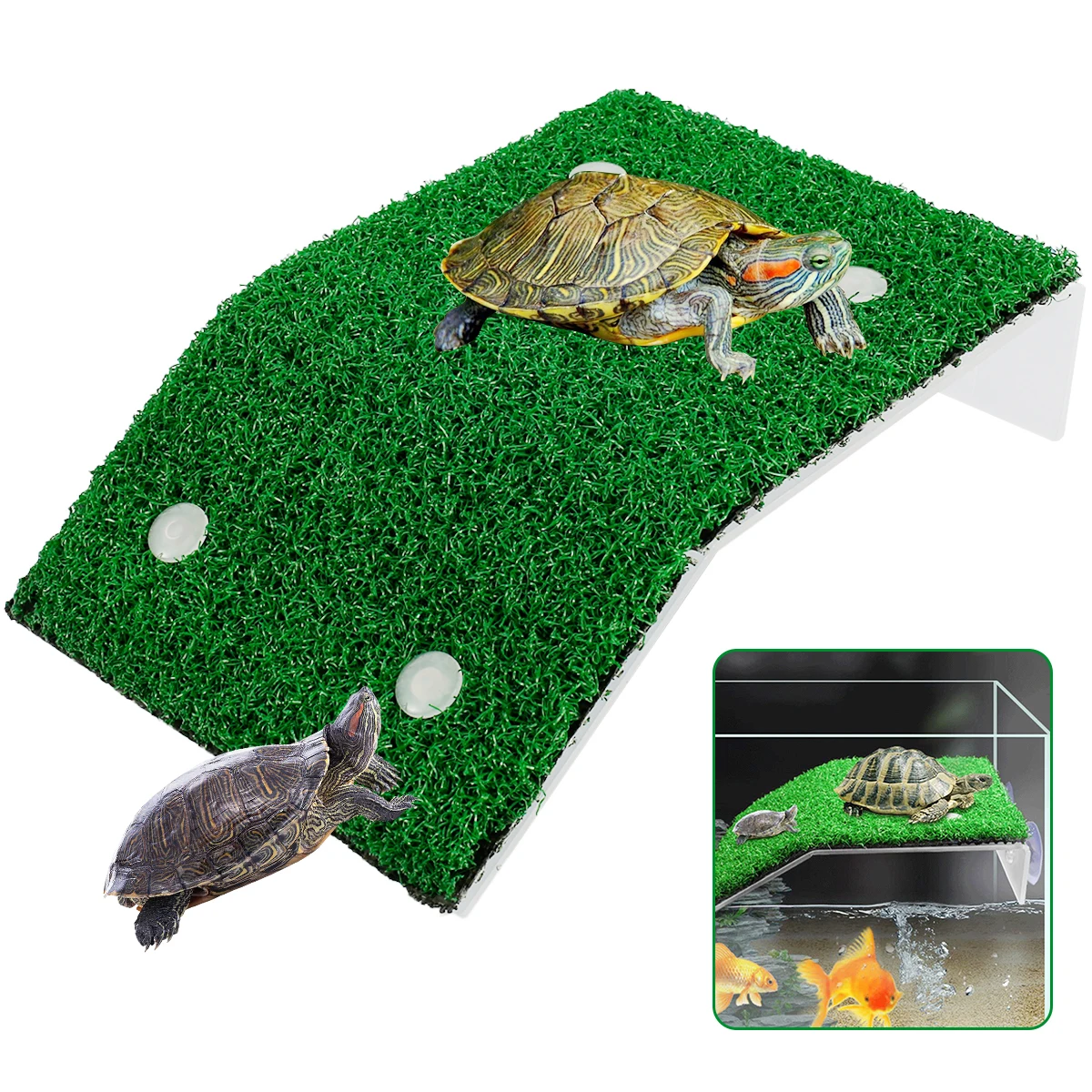 Plataforma para Tartarugas com Rampa de Gramado e Ventosas - Image 2