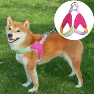 peitoral para cães pequenos tipo Y