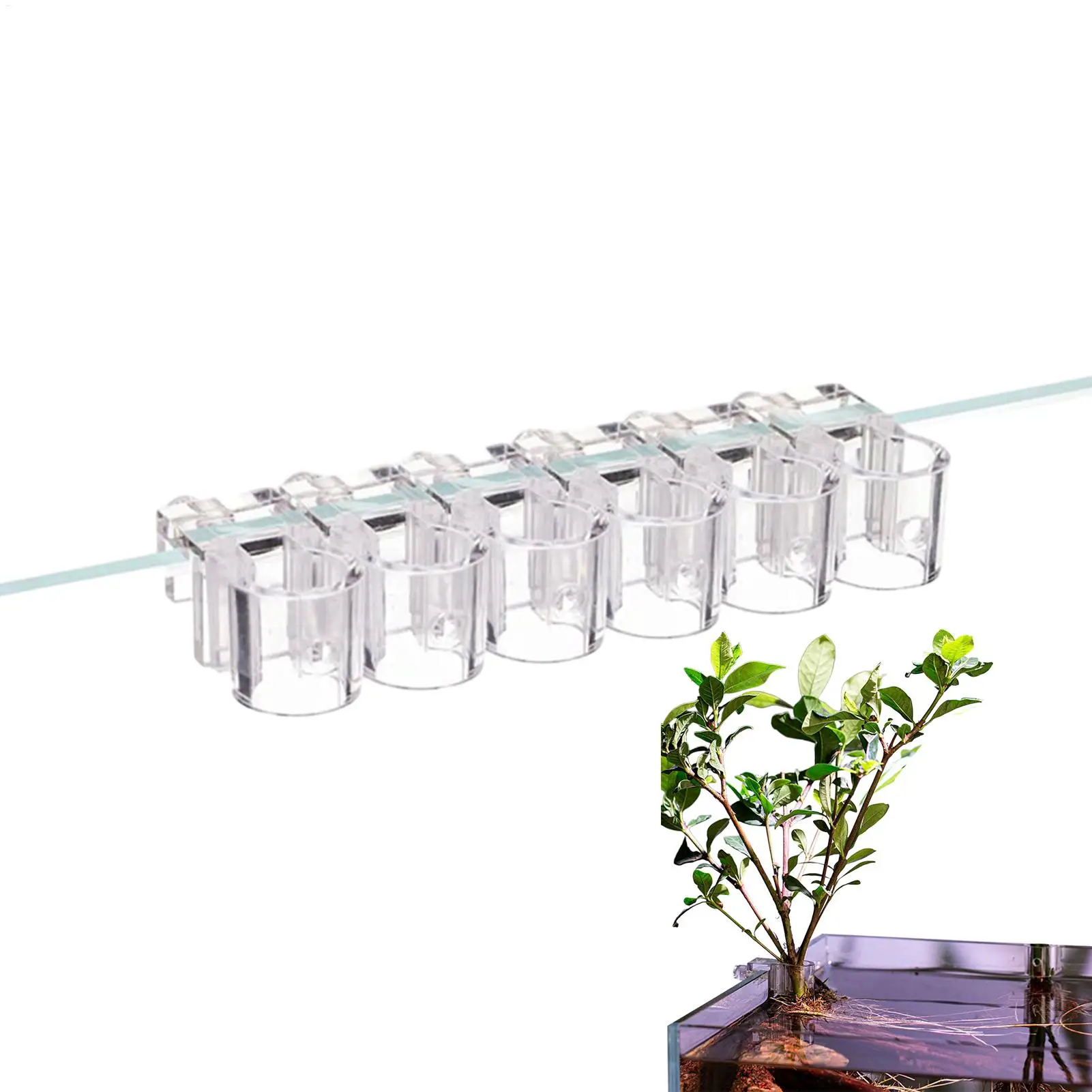 suporte para plantas de aquário transparente