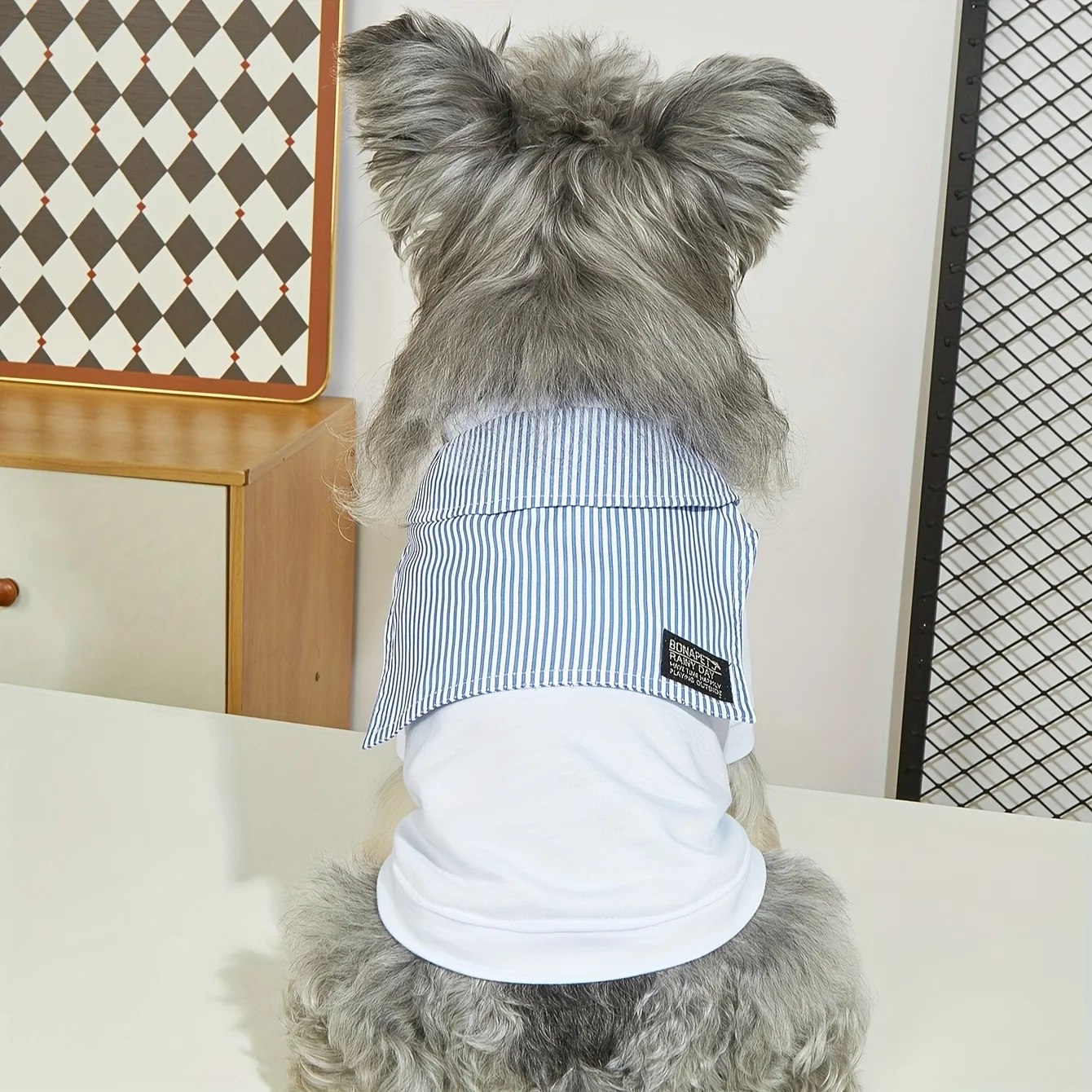 Camiseta para Cães Pequenos e Médios com Medidas para Chihuahua - Imagem 4