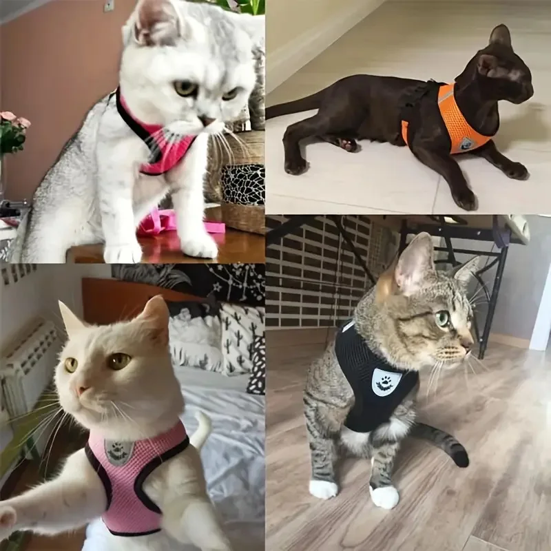 Coleira Peitoral para Cães e Gatos de Malha Respirável - Imagem 2