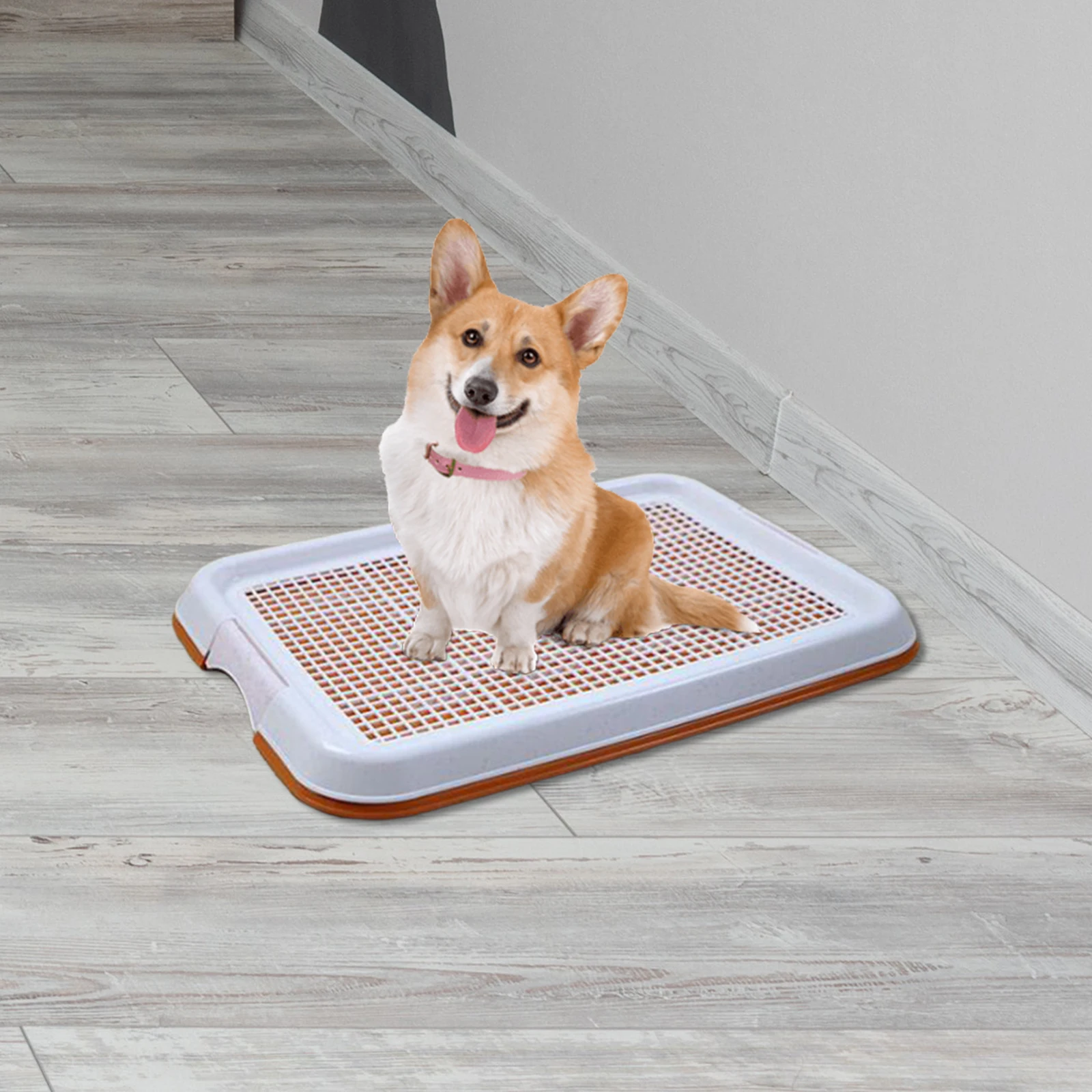 Bandeja Sanitária para Cães Pequenos e Gatos 47x35 cm Antiderrapante - Imagem 4