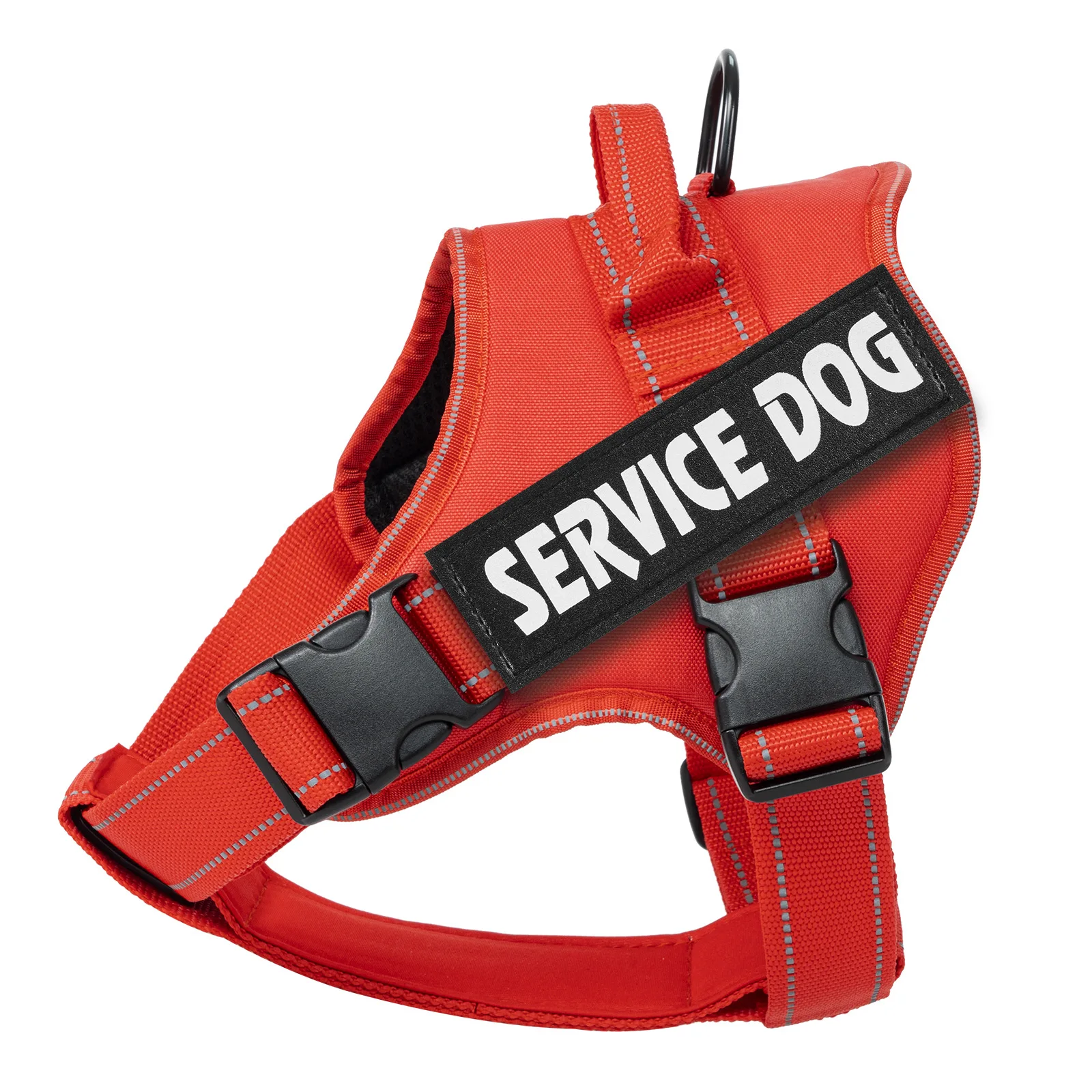 Coleira Ajustável para Cães com Nome e Telefone Personalizáveis - Imagem 4
