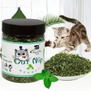 brinquedo catnip para gatos orgânico