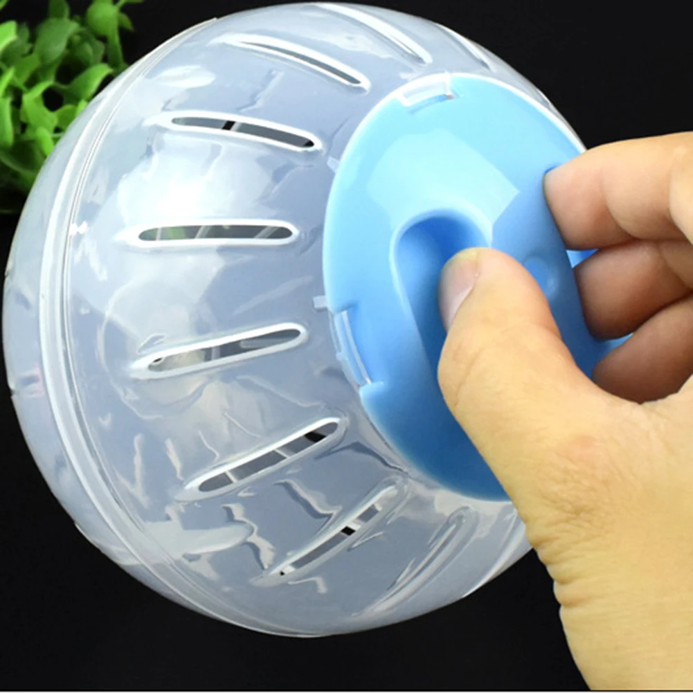 Bola de Exercício para Hamster e Roedores 10cm Plástico Lavável - Imagem 5
