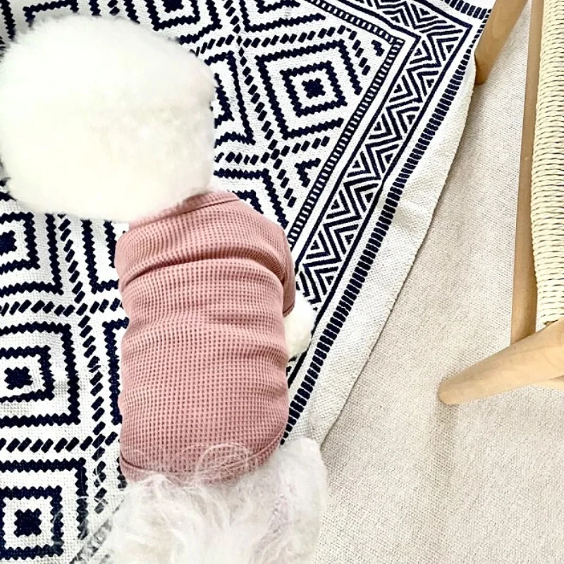 Camisa para Cães e Gatos de Poliéster para Outono Inverno - Image 3