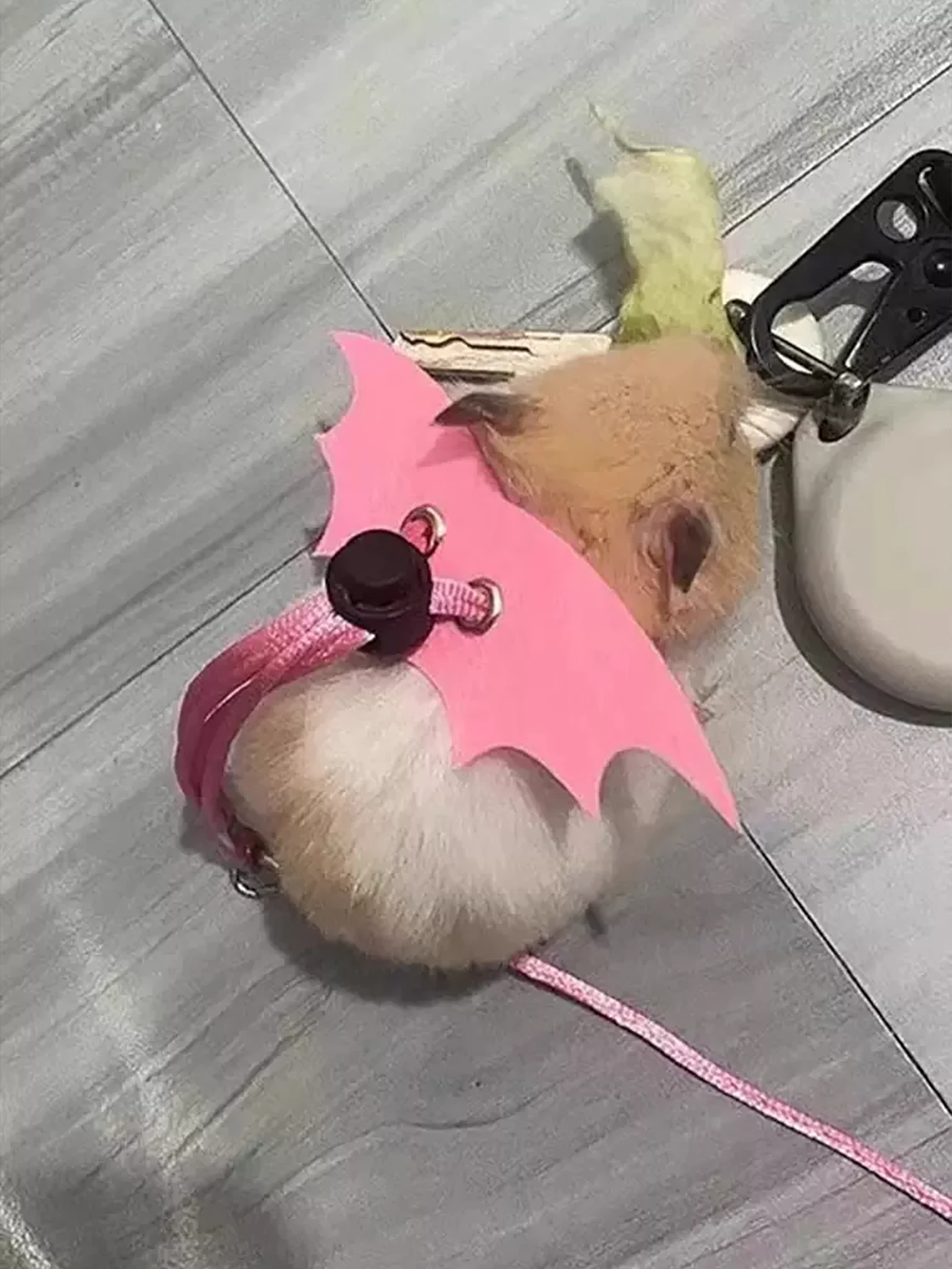Colete para Hamster e Rato com Alças Ajustáveis para Passeio - Imagem 6