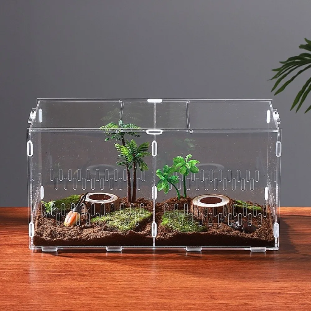 Terrário de Acrílico para Aranhas com 2 Portas e Ventilação - Imagem 2