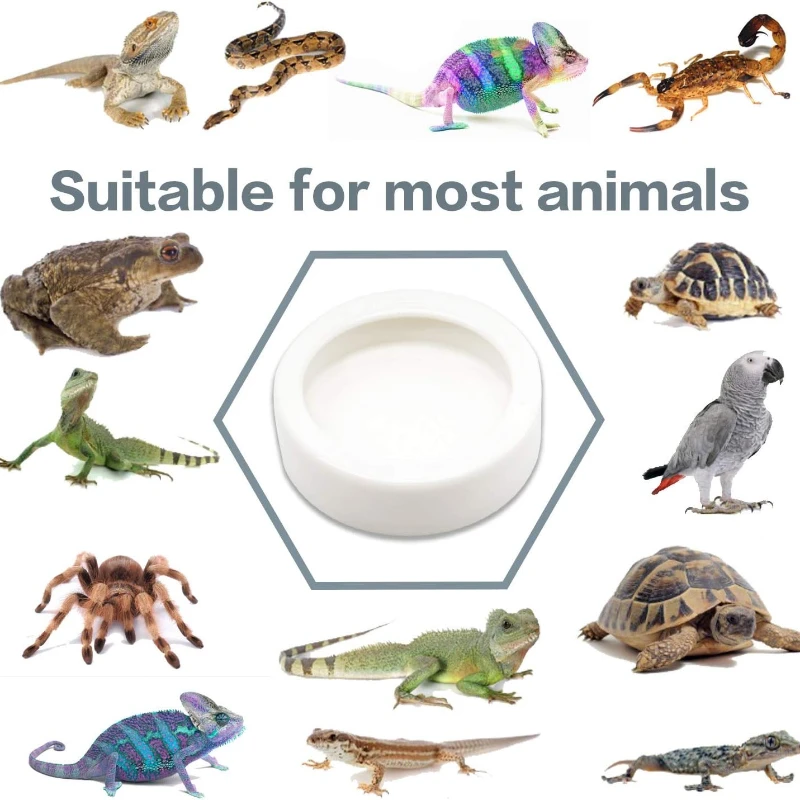 Tigela de Cerâmica para Répteis Anti-Fuga para Geckos e Cobras - Imagem 3