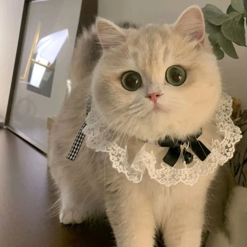Coleira de Seda para Gatos e Cães, Lenço de Fita Estilo Princesa - Imagem 3