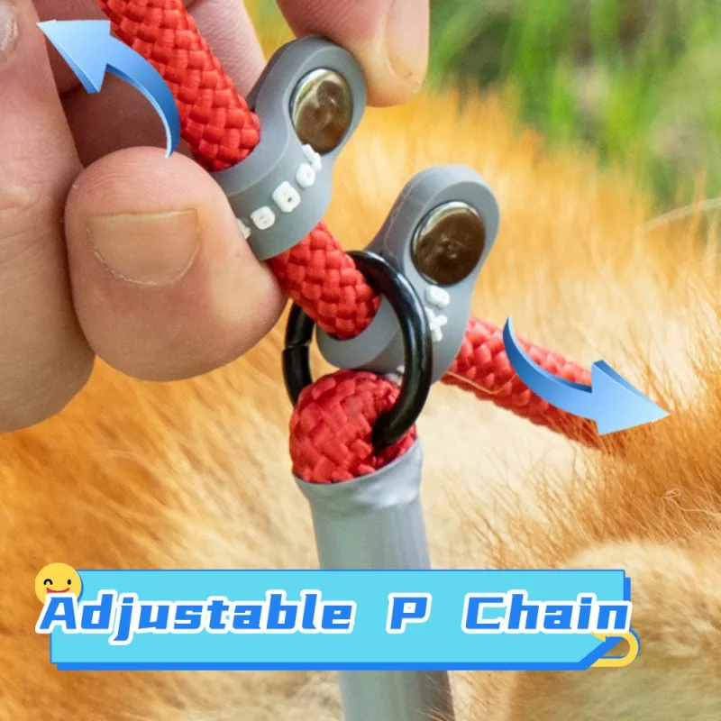 Trela Ajustável para Cães com Alça Dupla 1,4 m - Image 5