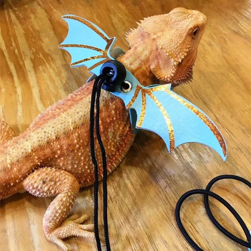 Coleira para Lagarto com Asas de Morcego, 3 Peças, Ajustável - Imagem 5