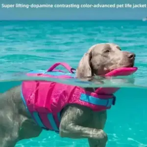 colete salva-vidas para cães ajustável