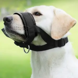 focinheira ajustável para cães