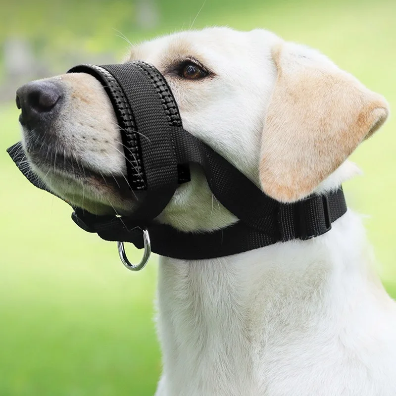 focinheira ajustável para cães