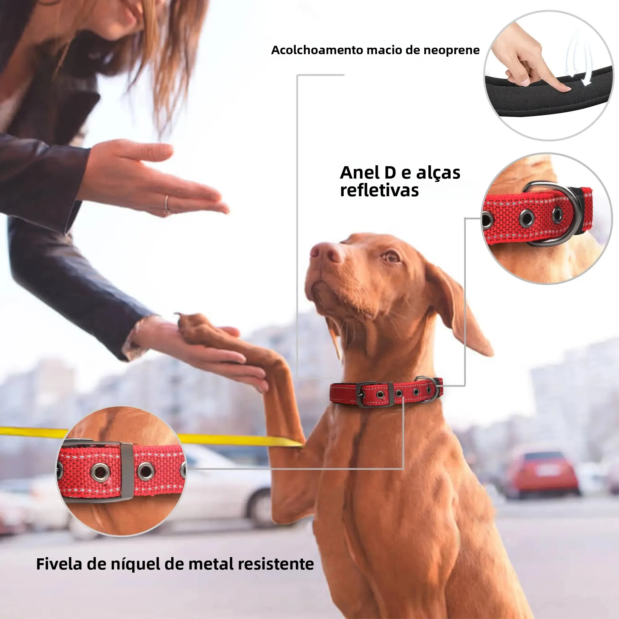 Coleira Listrada Refletiva para Cães Médios e Grandes de Nylon - Imagem 3