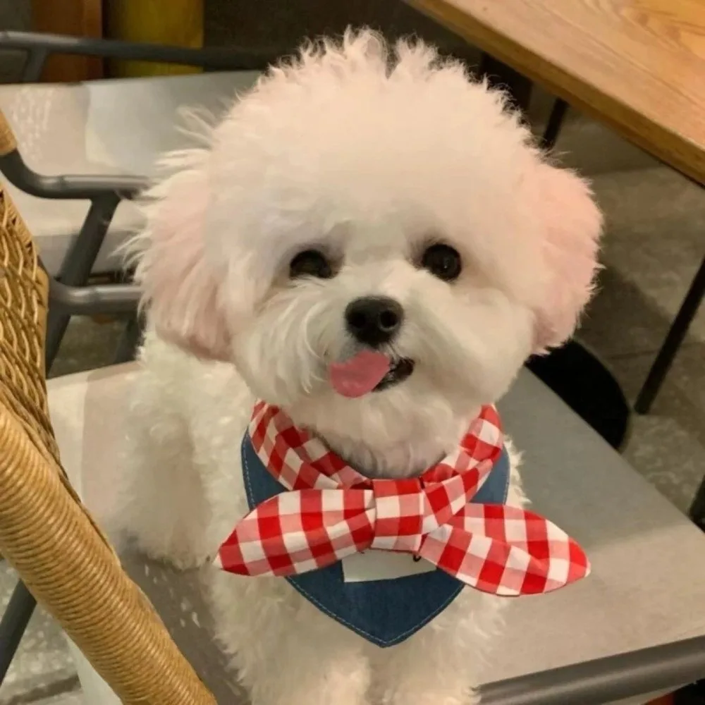 Bandana para Cães e Gatos de Poliéster com Laço Xadrez - Imagem 2