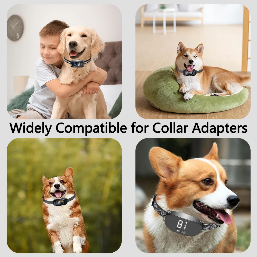 Coleira para Cães Ajustável Durável e Inodora - Imagem 5
