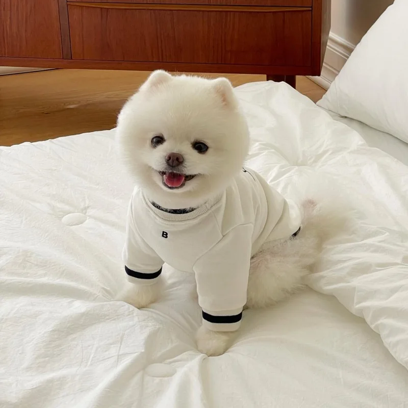 Roupa para Cães de Algodão com Estampa de Leopardo - Image 3