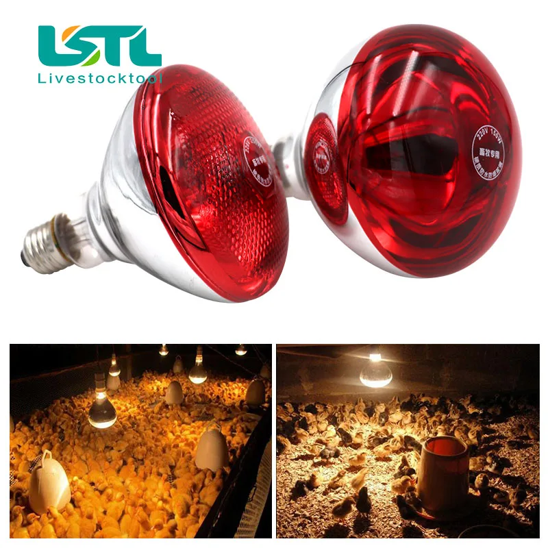 Lâmpada de Aquecimento para Répteis e Anfíbios 220V com Infravermelho - Imagem 4
